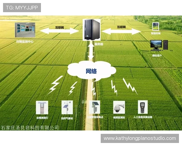 乐鱼电游官网积极响应国家政策推动绿色健康游戏环境建设