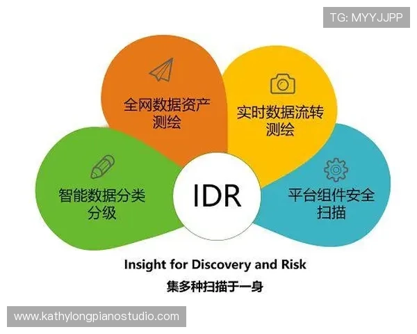 B体育国际官网入口的安全保障措施与用户隐私保护策略