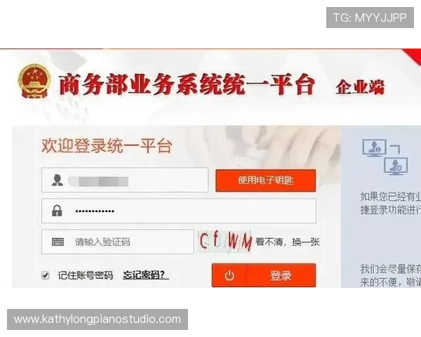 飞驰在线注册平台账号注册成功后如何快速激活与登录指南